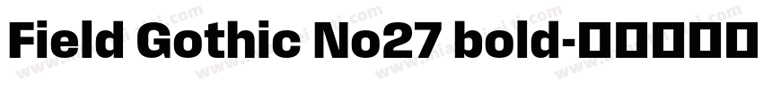 Field Gothic No27 bold字体转换